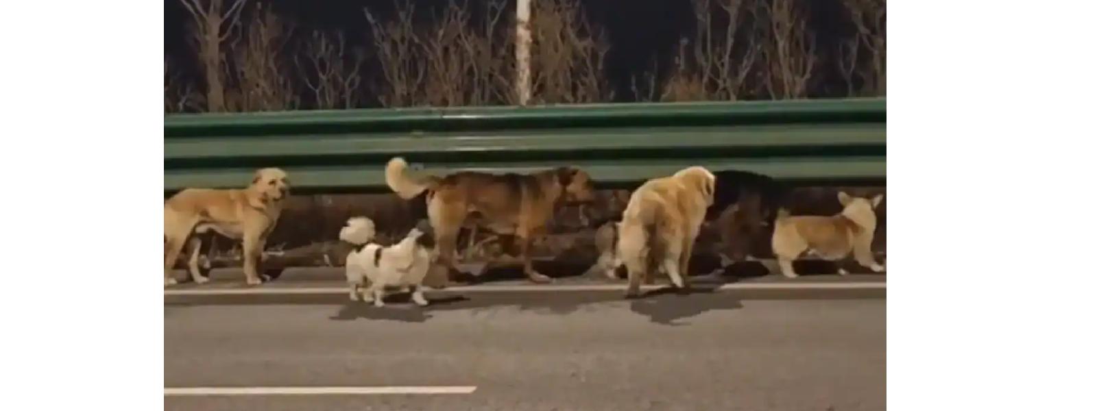 මරණය අභියසින් පැනගිය වීරයෝ!